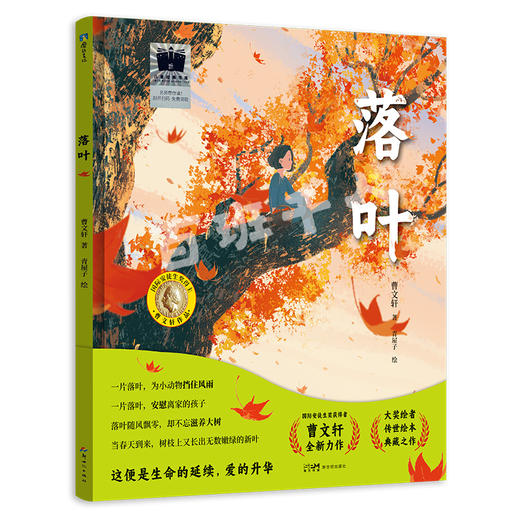 落叶   黑喵驾到：神奇便利店   一年级共读套装正版现货速发|名师推荐|小学生课外阅读 商品图1