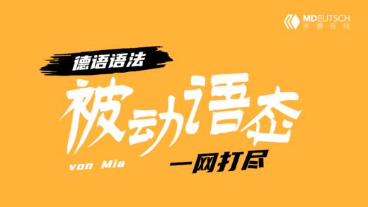 一网打尽德语中的被动语态 商品图0