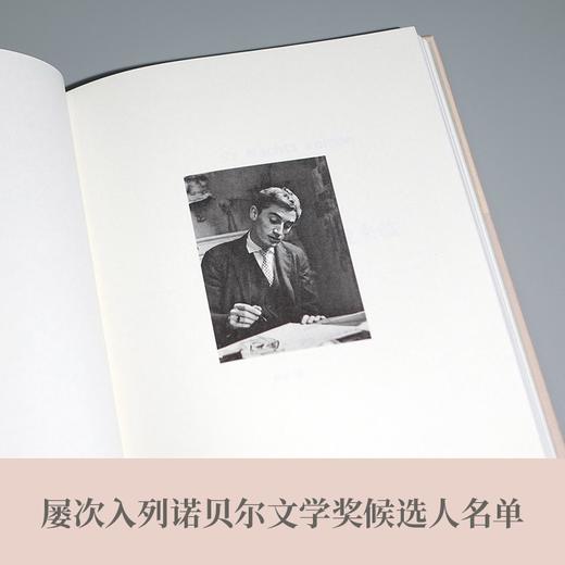 诺特博姆作品：狐狸在夜晚来临（欧洲知识分子作家的典范，书写神秘忧郁的“记忆之书”） 商品图7