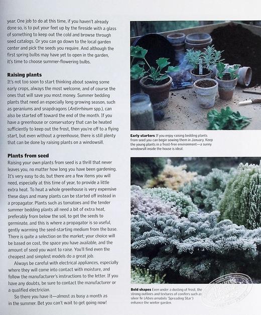 【中商原版】一年四季园艺指南 每月计划 指导和灵感 Gardening Through the Year 英文原版 Spence Ian 商品图8
