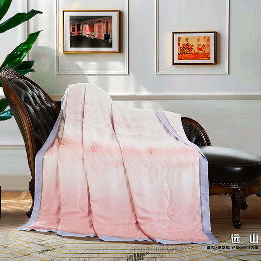 鑫缘 极爽可水洗桑蚕丝被 AEPD0320 商品图1