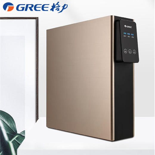 GREE格力 净水器 WTE-PT16-3087 家用自来水过滤器纯水机  商品图0