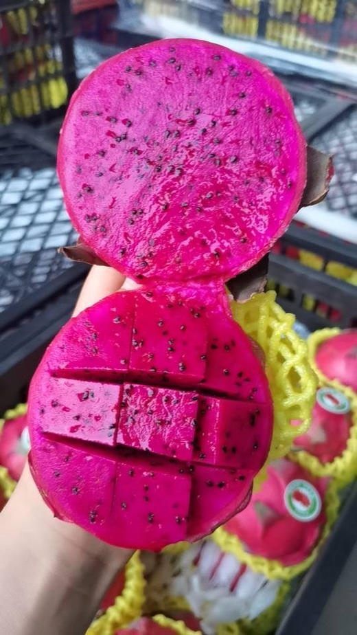 海南金都一号有机红心火龙果，薄皮超甜蜜宝火龙果，单果约8两，一组4颗 商品图0