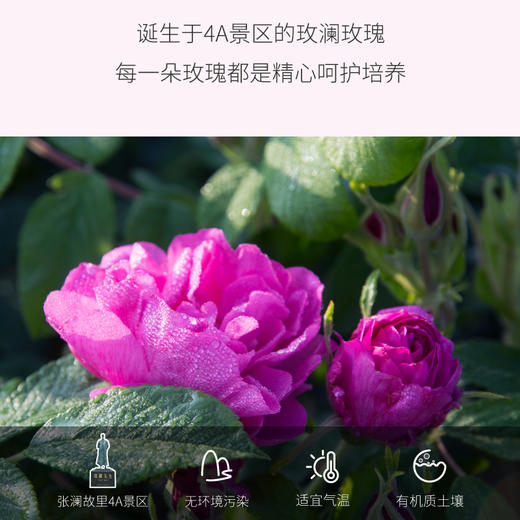 玫瑰花酱180g/瓶*2（有机玫瑰花加工） 商品图5
