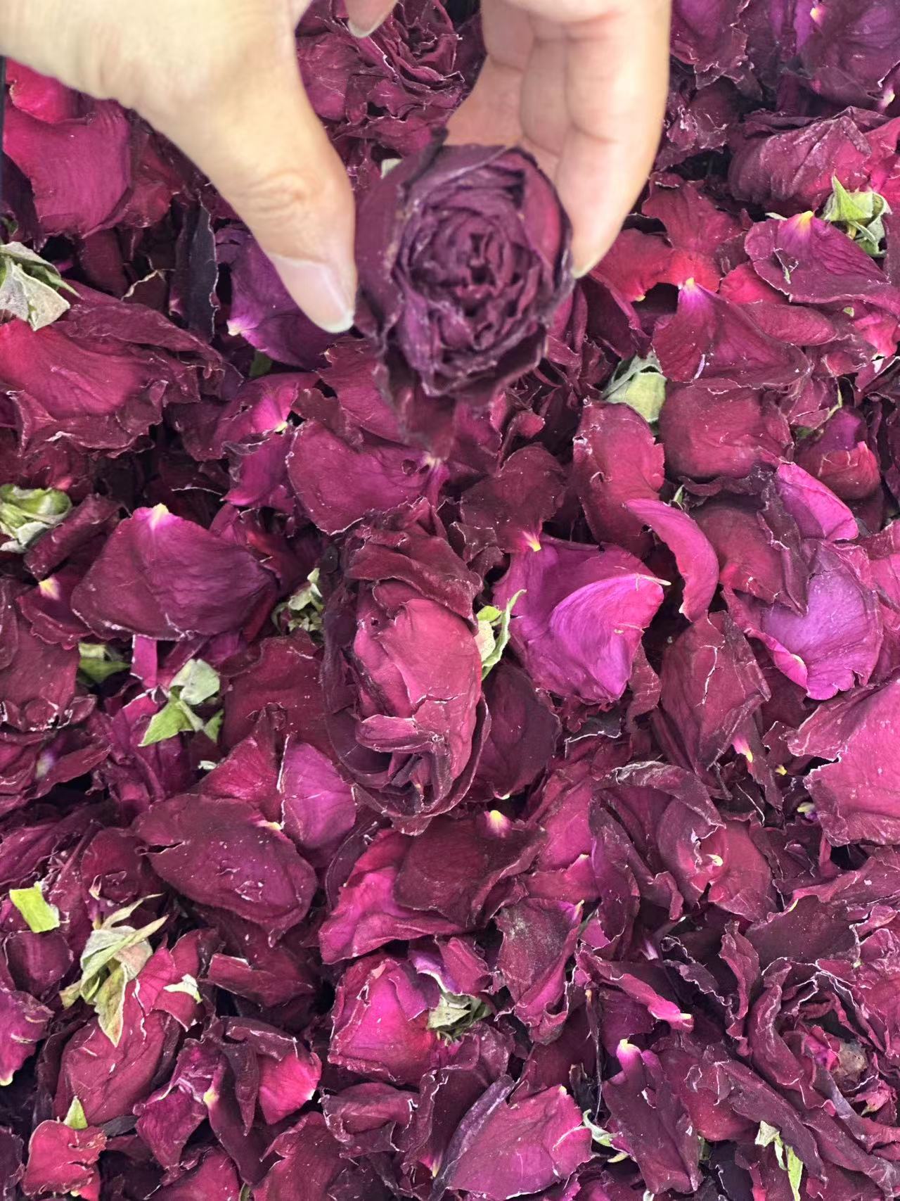 【散货花茶合集】花养美人 冻干墨红玫瑰/山东平阴花冠玫瑰花/洛神花 散货！