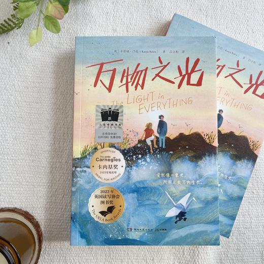 万物之光   青色风筝飞走了   五年级共读套装正版现货速发|名师推荐|小学生课外阅读 商品图1