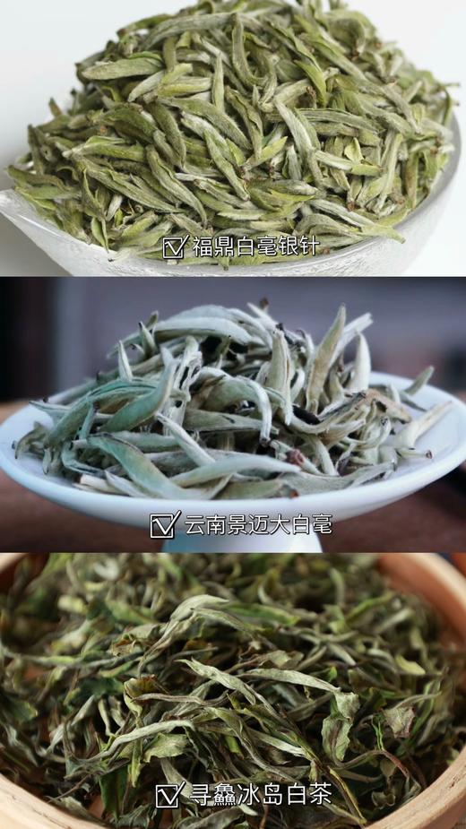 云南寻鱻冰岛白茶龙珠 礼盒180g/罐 商品图4