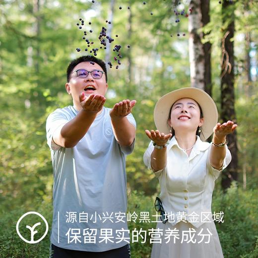 【远方SGS检测308项农残未检出 远方的梦想有机蓝莓原浆】经常用眼就喝蓝莓原浆 商品图2
