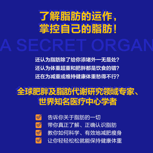 被误解的脂肪 商品图3