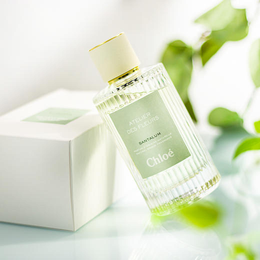 蔻依 仙境花园系列-檀木夜旅 Chloe Atelier des Fleurs Santalum 分装 商品图4
