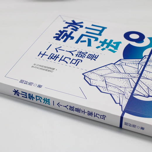 冰山学习法：一个人就是千军万马 顾好雨 著 北京大学出版社 商品图3
