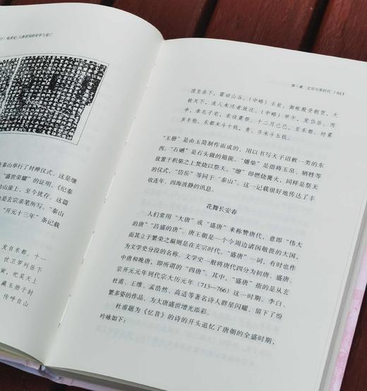 溯源丛书：《杨贵妃：大唐帝国的荣华与衰亡》，精装32开，[日]村山吉广著，虞薇、费悦译，李晓红校，山西人民出版社2024年一版一印，250页，定价79 商品图4