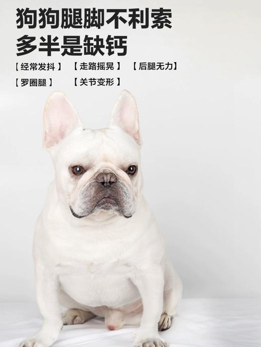 「天然温和补钙」卫仕 犬用狗狗乳钙片400片 商品图2