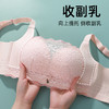 【抹胸】熳洁儿 聚拢抹胸防走光性感蕾丝一片式收副乳透气孔不闷热23261537 商品缩略图4