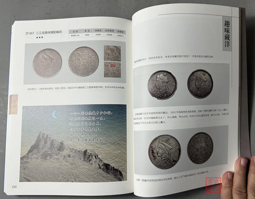 藏洋图志 商品图7