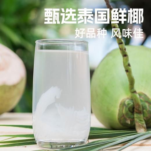 【远方检测SGS308项农残未检出NFC纯椰子水不加一滴水】甄选泰国鲜椰子 无添加 新鲜鲜榨 配料只有椰子水 200ml*10盒大人孩子放心喝! 商品图2