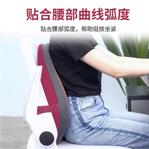 龙脊康梨形护腰枕 商品图3