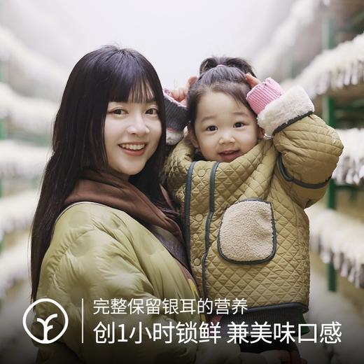 【远方检测SGS308项农残未检出主料辅料双有机认证 银耳鲜露】无防腐剂无色素无香精无脂肪6瓶/12瓶 商品图4