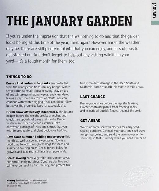 【中商原版】一年四季园艺指南 每月计划 指导和灵感 Gardening Through the Year 英文原版 Spence Ian 商品图6