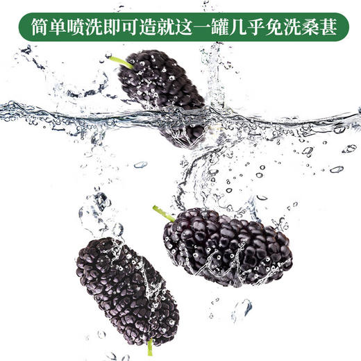 神农金康 桑葚干300g/罐（即食大果18mm左右）原生态真滋补喝护家人健康 商品图7