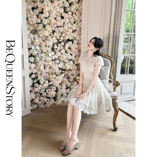 BeQueenStory【浮雕繁花】镂空股线蕾丝法式宫廷风V领收腰连衣裙 商品图3
