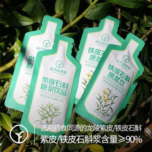 【检测SGS297项农残未检出 对胃好一点!远方的梦想定制版 紫皮/铁皮石斛原浆】原浆含量>90%的紫皮石斛原浆 零脂肪零蔗糖 商品图1