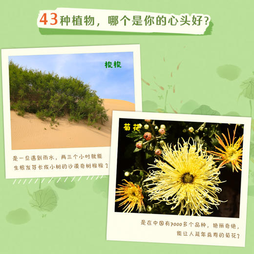 那一天，小鸭决定离开   我的植物朋友   四年级共读套装正版现货速发|名师推荐|小学生课外阅读 商品图4