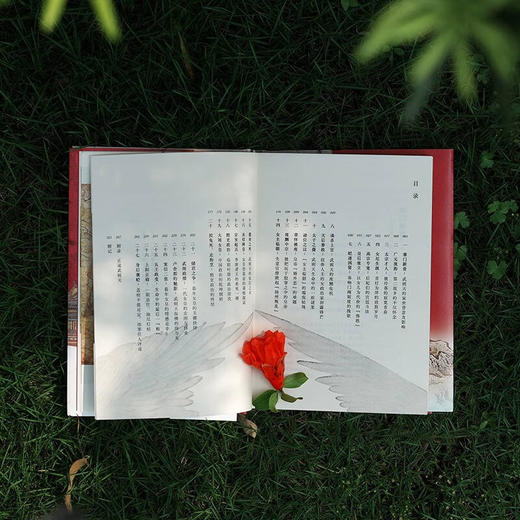 女主临朝：武则天的权力之路 商品图9