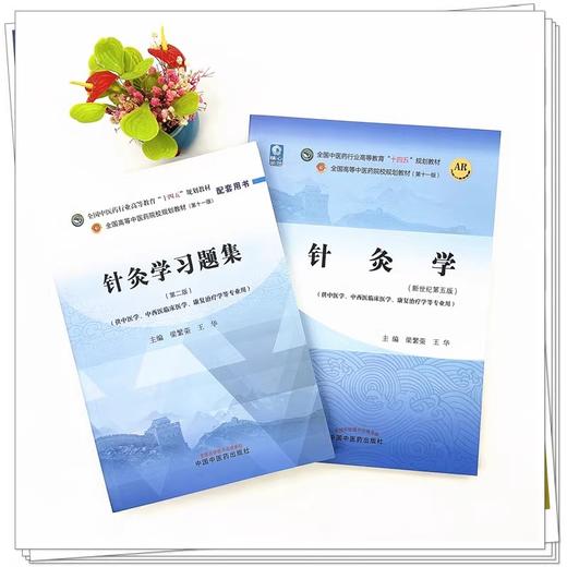 全2册 针灸学+针灸学习题集 全国中医药行业高等教育十四五规划教材 供中医学中西医临床医学康复治疗学等专业 梁繁荣 王华 新世纪 商品图2