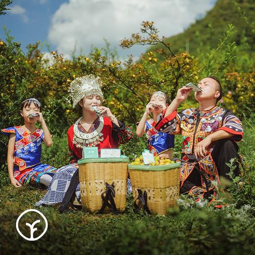 【检测SGS308项农残未检出 远方的梦想定制 有机刺梨原液】无添加无防腐无香精，富含VC等几百种营养元素，口感清香回甘 商品图1