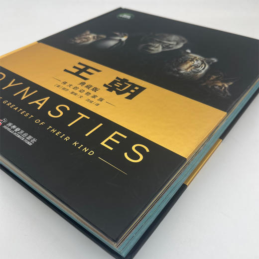 【12岁+】王朝 典藏版 商品图2