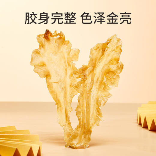 蔡府5A鳕鱼胶100g 商品图3