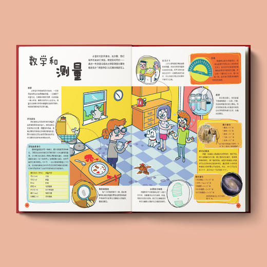 《DK 儿童数学思维手册》 商品图4