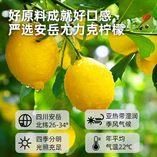 喜善花房 满杯冷榨柠檬液 3盒装 252g*3 商品图2