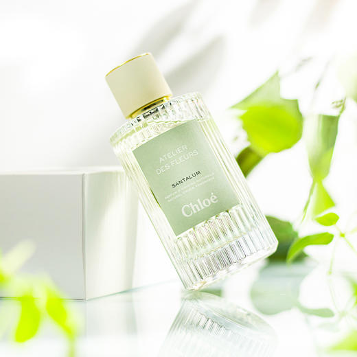 蔻依 仙境花园系列-檀木夜旅 Chloe Atelier des Fleurs Santalum 分装 商品图6