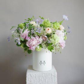 水木明瑟 Bright Scenery