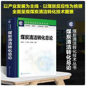 煤炭清洁转化技术丛书--煤炭清洁转化总论