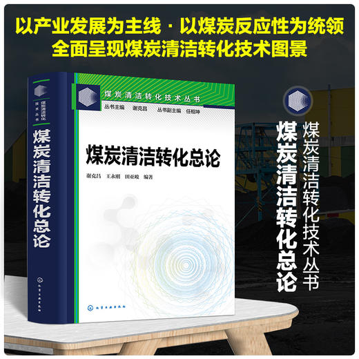 煤炭清洁转化技术丛书--煤炭清洁转化总论 商品图0