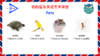 Pets 朗读示范2 商品缩略图0