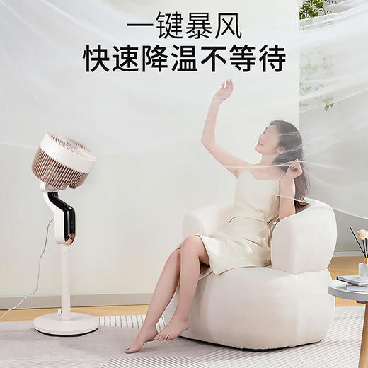 【分仓直发包邮】艾贝丽360°智能语音空气循环扇ABL-FS2102 商品图2