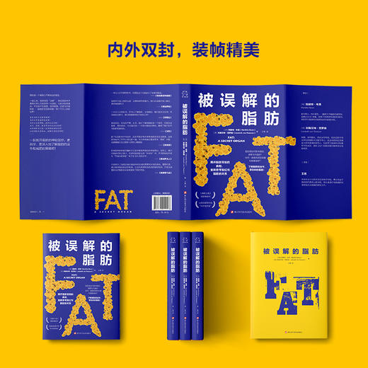 被误解的脂肪 商品图2