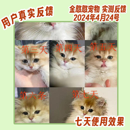 巴士宠泪痕净20ml 去泪痕口服液 源头修护泪痕 营养补充  犬猫通用【5送2，10送5】 商品图3