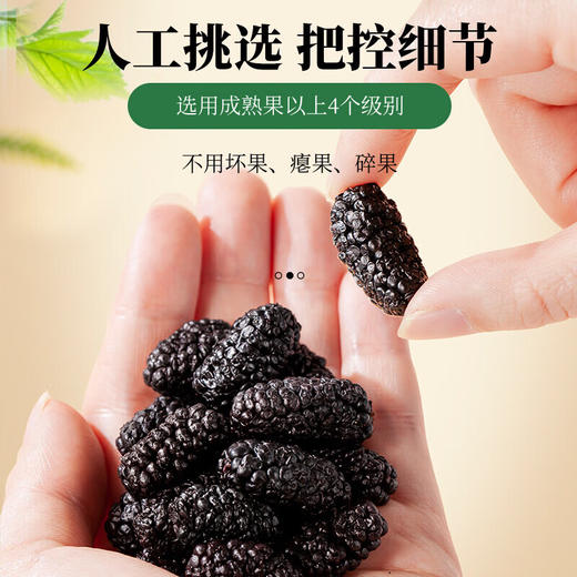 神农金康 桑葚干300g/罐（即食大果18mm左右）原生态真滋补喝护家人健康 商品图1