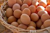 鸡蛋一件360个 商品缩略图1
