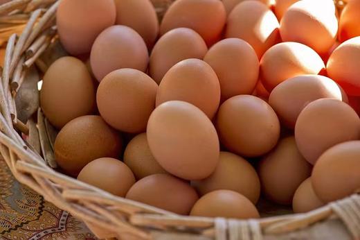 鸡蛋一件360个 商品图1