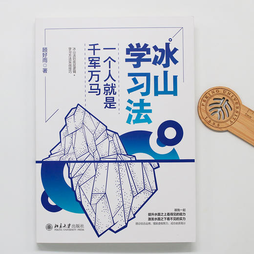 冰山学习法：一个人就是千军万马 顾好雨 著 北京大学出版社 商品图4