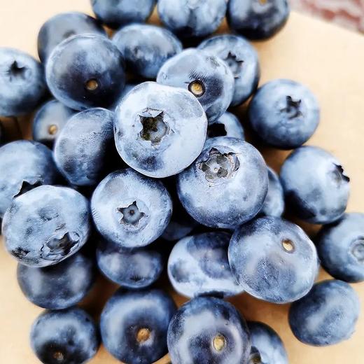 百里家的蓝莓 自然农法 有机标准 颗颗爆浆 护眼 养颜 |百里食 商品图14