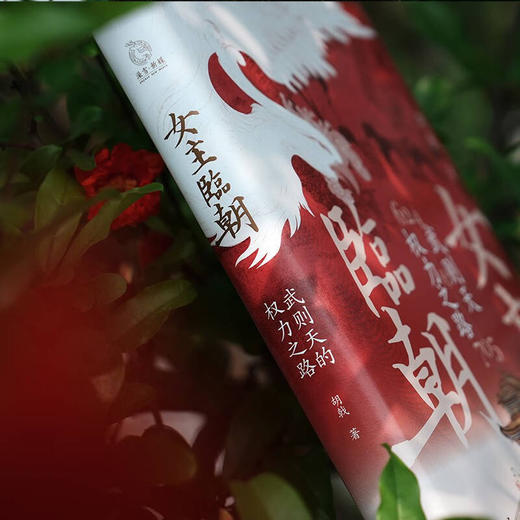 女主临朝：武则天的权力之路 商品图3