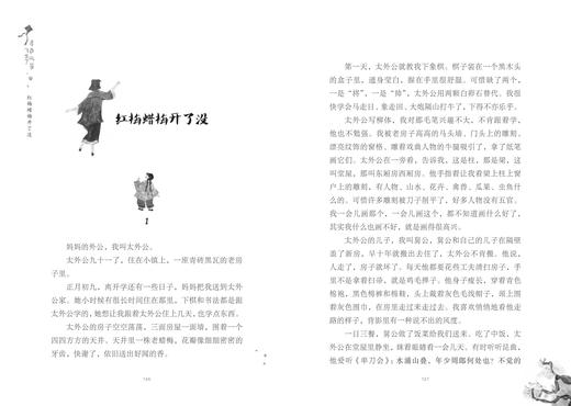 青色风筝飞走了   五年级正版现货速发|名师推荐|小学生课外阅读5年级儿童课外读物 商品图1