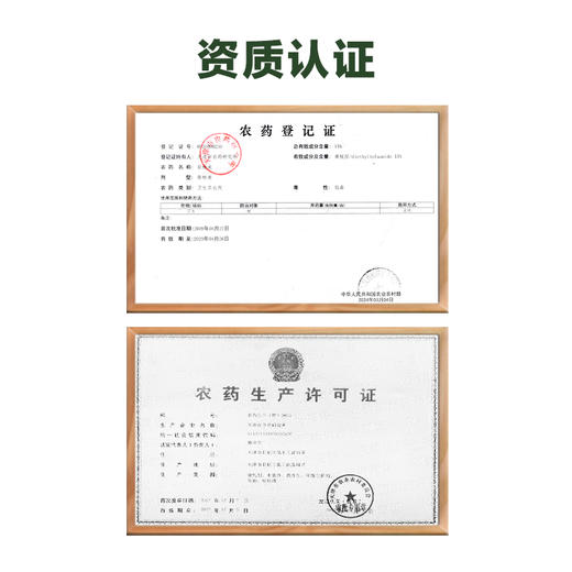 绿色丛林长效驱蚊露100ML户外防蚊液避蚊胺蚊虫 商品图1